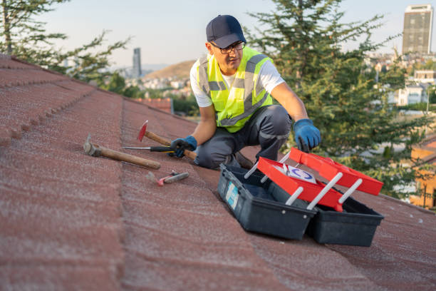 Best Demolition Debris Removal  in Mililani Town, HI